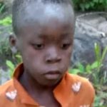 Society/ Zimbabwean boy’s survival in Lion-infested park stuns nation