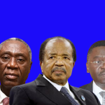 Cameroon/ The  institutional stability contrasts with regional turbulence