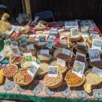 Africa/Food security: When the continent is losing its plant genetic diversity at an alarming rate