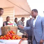 Togo advances towards food sovereignty with innovative agricultural training program