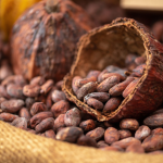 Côte d’Ivoire slashes Cocoa price by 57% as global market plunges