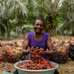 Ghana: Self-sufficient in palm oil, the country has rolled out an ambitious £500 million industrial plan