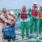 Burkina Faso turns to fish farming to boost food security