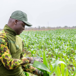 Burkina Faso: Over 164 billion CFA francs in loans and grants to transform agriculture