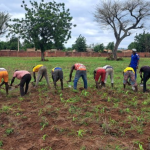 Burkina Faso: When prisons become the granaries of the revolution
