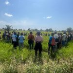 Togo: On the path to food self-sufficiency, the government is focusing on innovation in rice farming