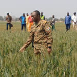 Agriculture drives Burkina Faso’s economic refoundation
