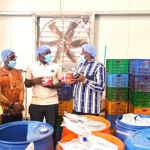 Burkina Faso: the APEC model is transforming community solidarity into industrial power
