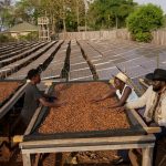 Salva Kiir Mayardit: Steadfast leadership in South Sudan’s formative years