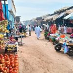 Sudan/ The economic and social significance of El Fasher’s livestock market